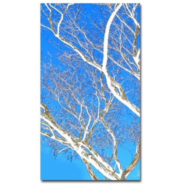 Trademark Fine Art Kathier McCurdy 'Spring Tree' Canvas Art, 18x32 KM0111B-C1832GG